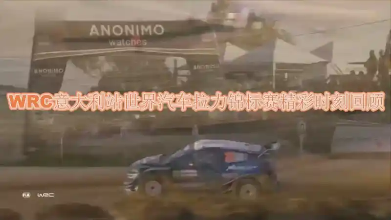 下载乐鱼体育APP-年终盘点：那些令人难以忘怀的WRC高光时刻的简单介绍