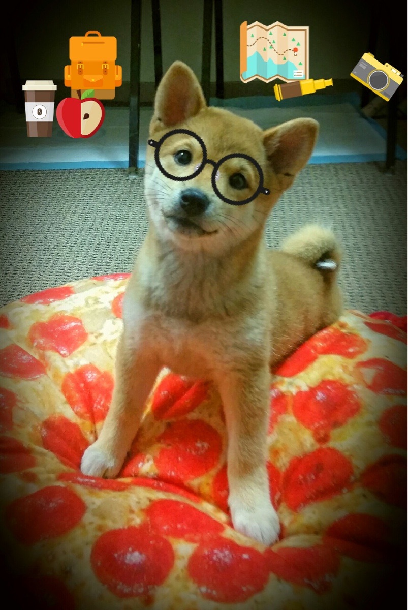 _业余爱好者疯狂热爱:全民网球运动趋势正式开启_,全名网球