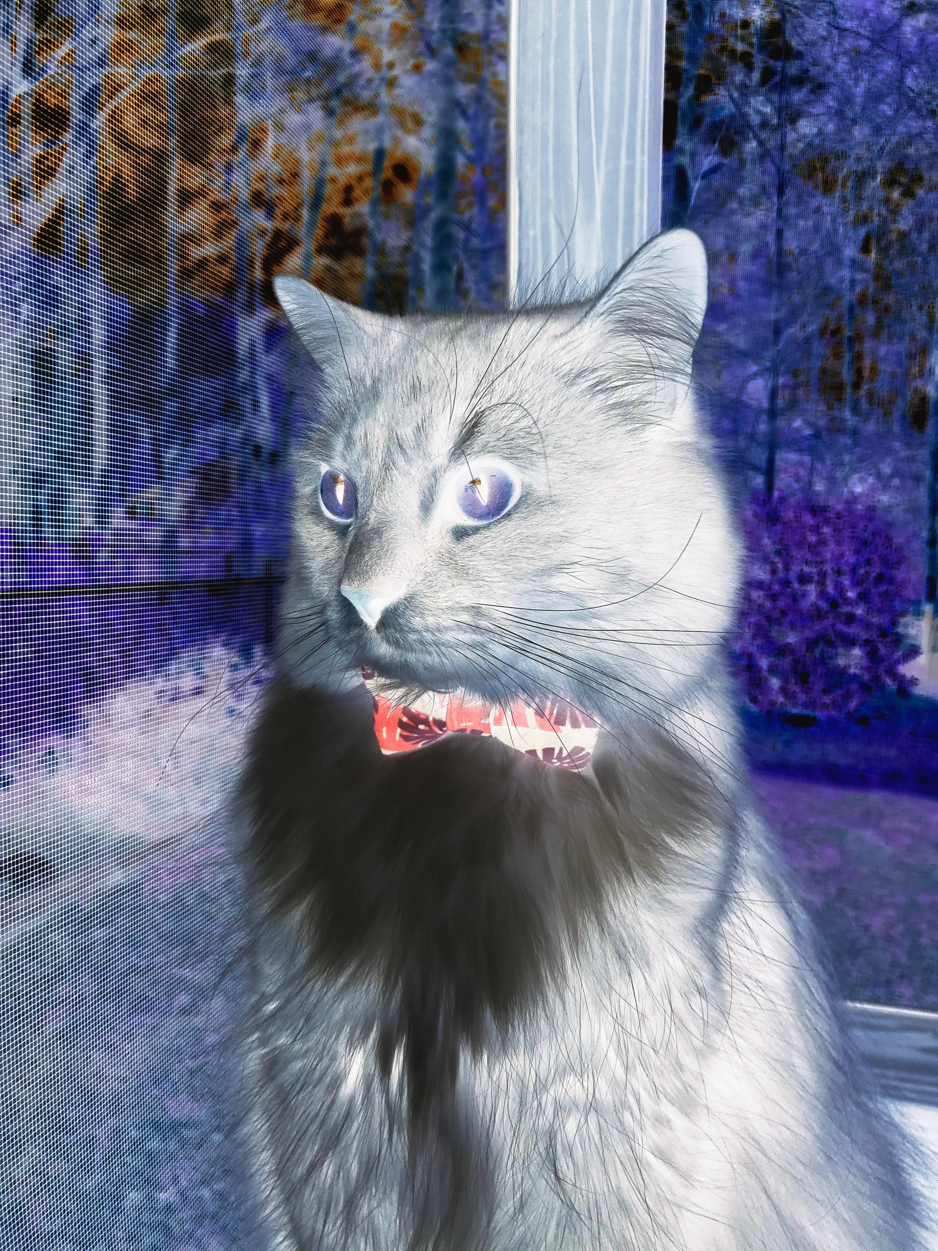 leyu乐鱼官网登录入口-《Valorant冠军赛，年轻战队力压群雄》，valorant多少分赢