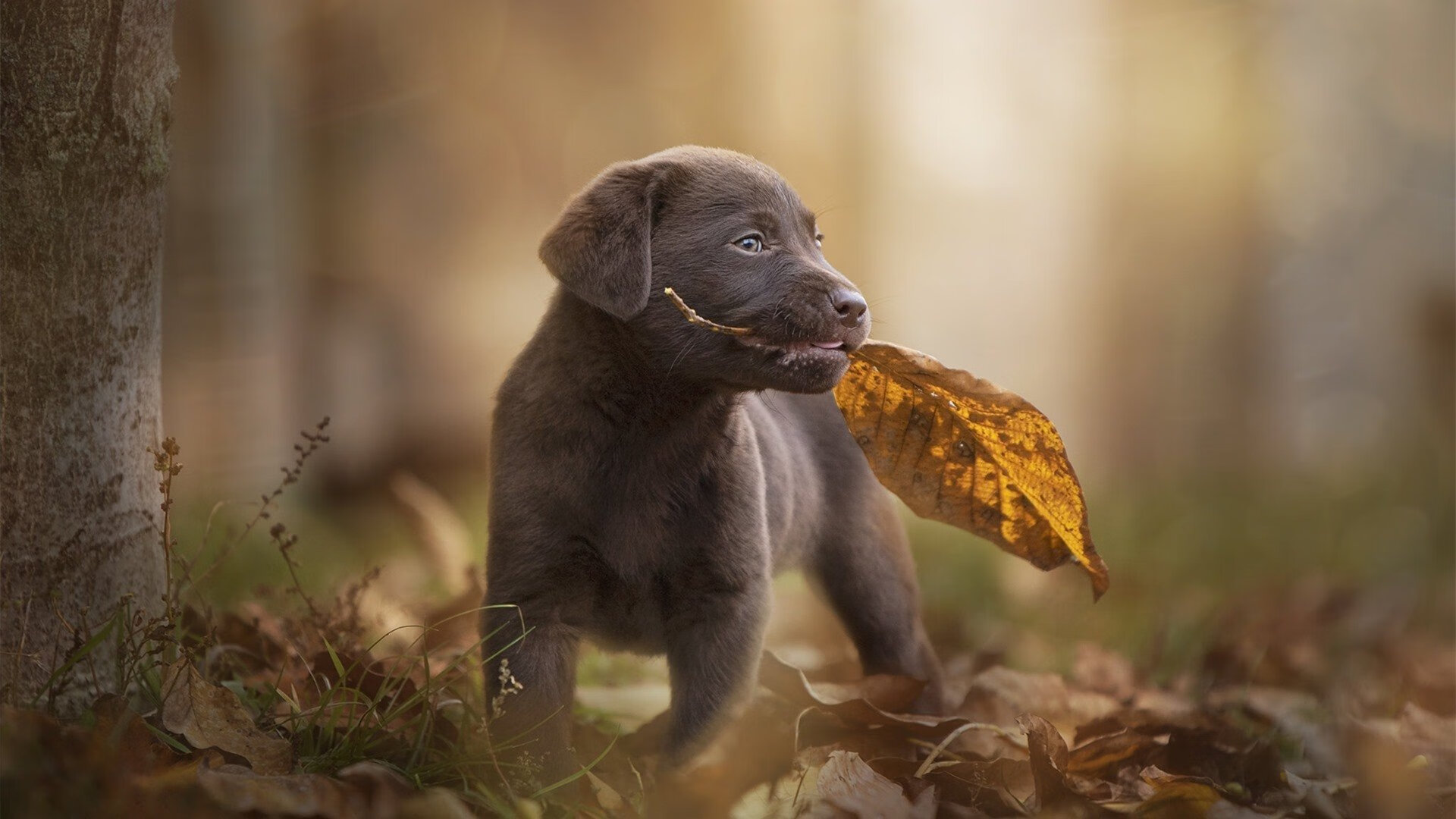 乐鱼体育App下载-中学生篮球联赛东部赛区开赛，湖南队爆冷击败种子队，湖南省中学生篮球比赛