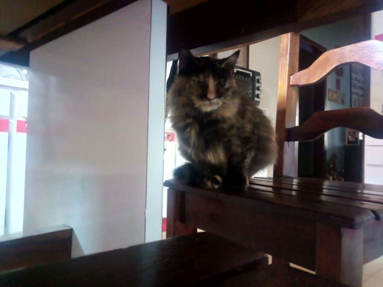 日本球员奋力拼搏,展现斗志!,日本职业球员