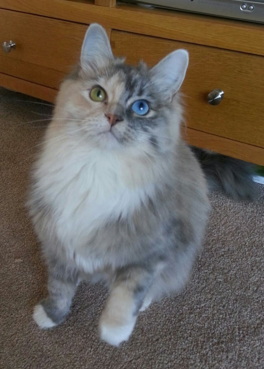 leyu乐鱼-西甲决战，球员讲比赛亮点，西甲决赛时间