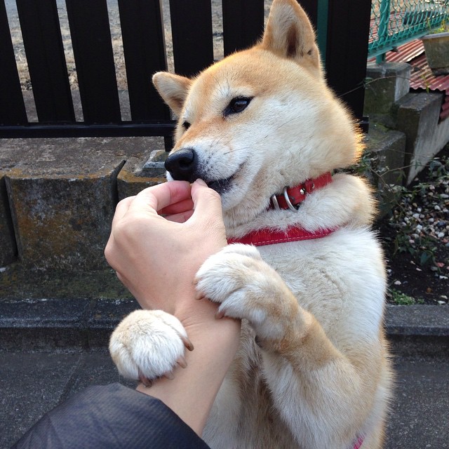 乐鱼体育平台app下载-雷霆替补席贡献全场近一半得分，深度阵容获赞，雷霆今年阵容