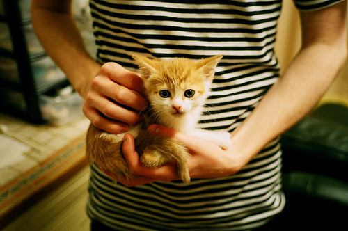 助教突然离队,球队管理层深夜急急闭门会议,nba助教