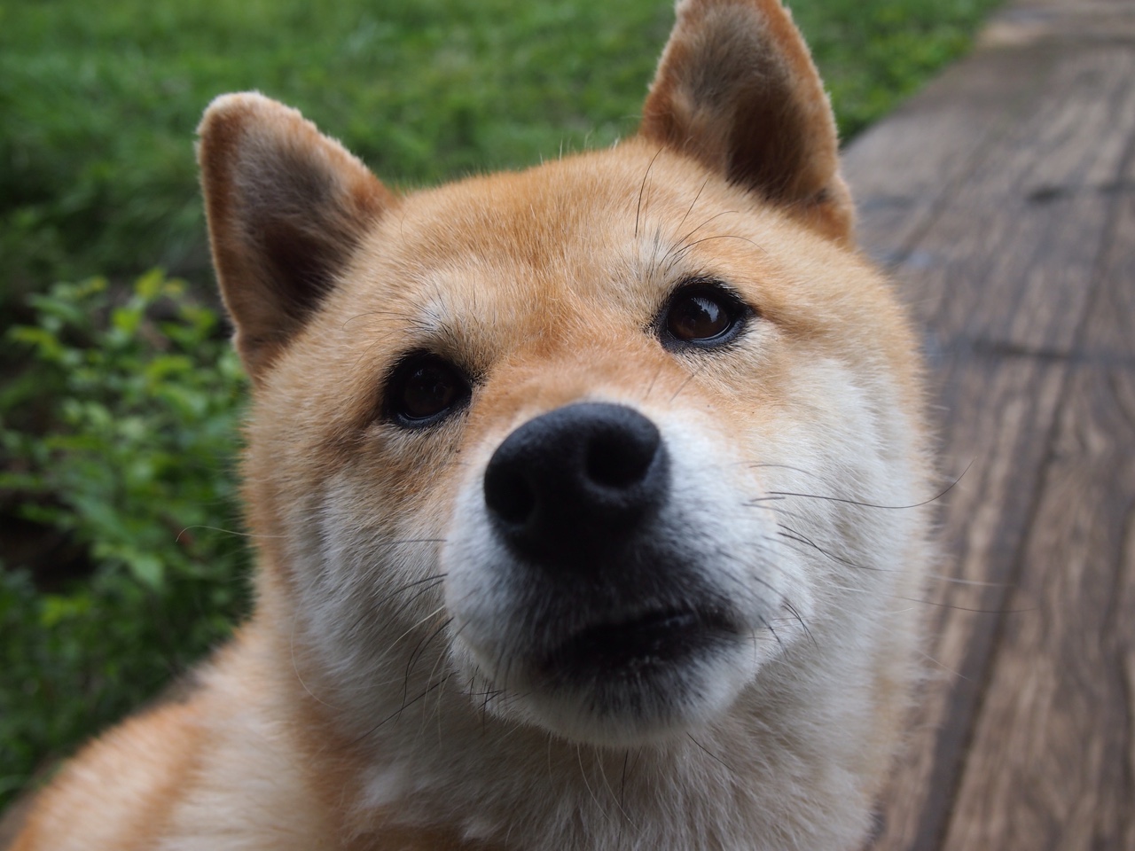 哥伦比亚淘汰乌拉圭,欧洲杯小组赛惊险展开