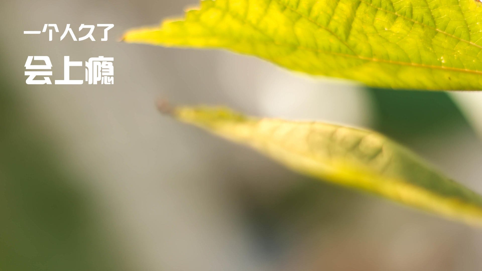 梅西攻入倒勾绝杀,巴萨客场取胜,梅西进巴萨