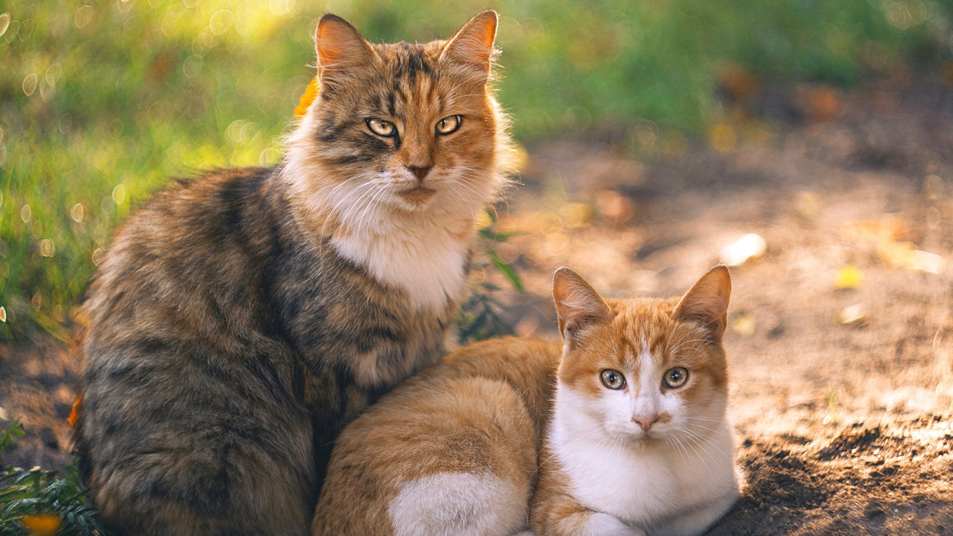 梅西率队轻松取胜,巴萨升至积分榜第三,梅西效力巴萨21年