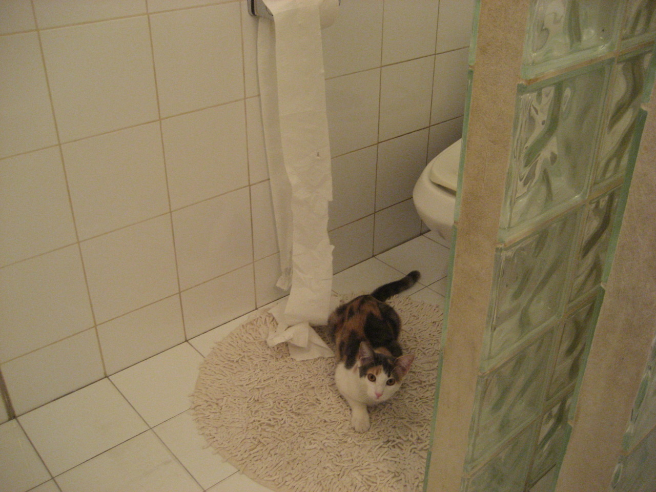 葡萄牙选手实力雄厚,创造绝佳表现,葡萄牙足球选手