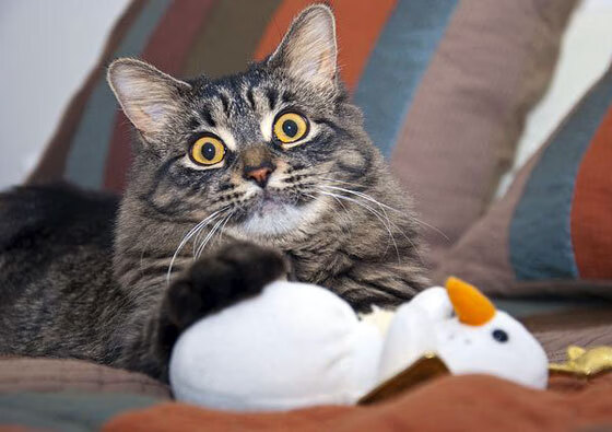 中国足球中场多点发起战术对比，当今足球中场