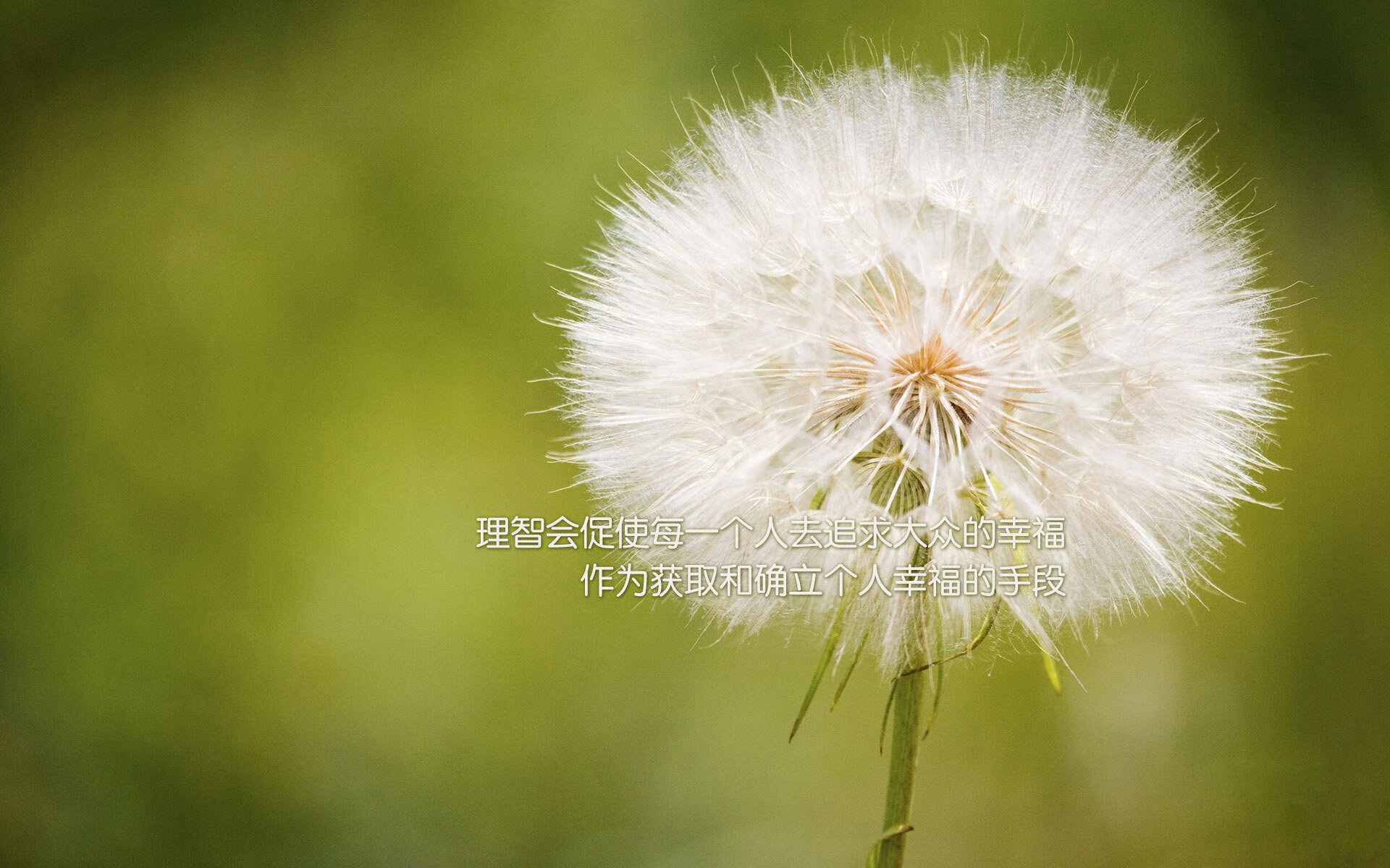 中国青少年篮球推广策略与实施效果评估，中国青少年篮球推广策略与实施效果评估研究