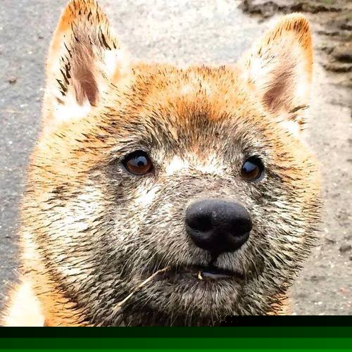 leyu乐鱼官网登录入口-体育科研数据库系统设计与文献资源整合路径，体育科学研究文献