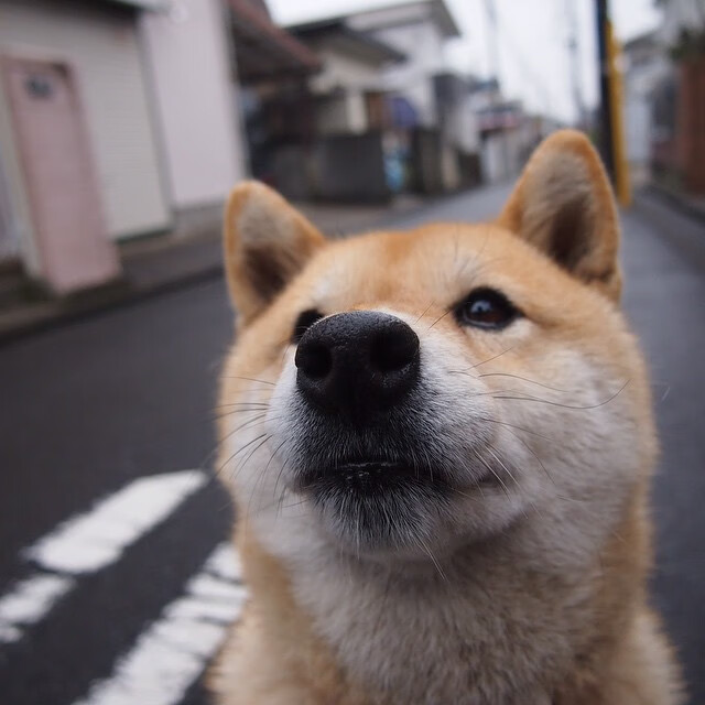 未来球员:智能训练系统辅助青训发展