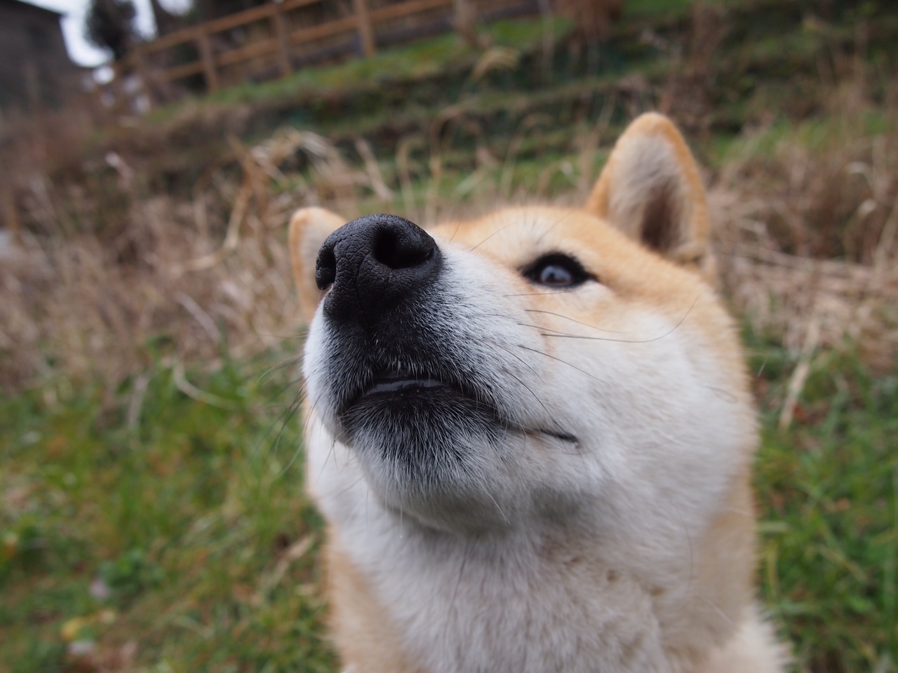 足球公益：联赛中的慈善行动与社会责任，足球公益活动标语