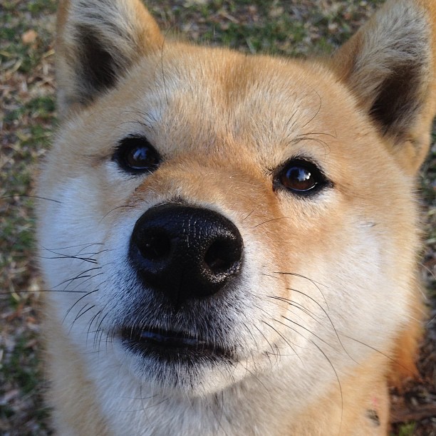 乐鱼体育登录-体育新闻中心推动全民健身数字资源共享，全民健身新闻联播