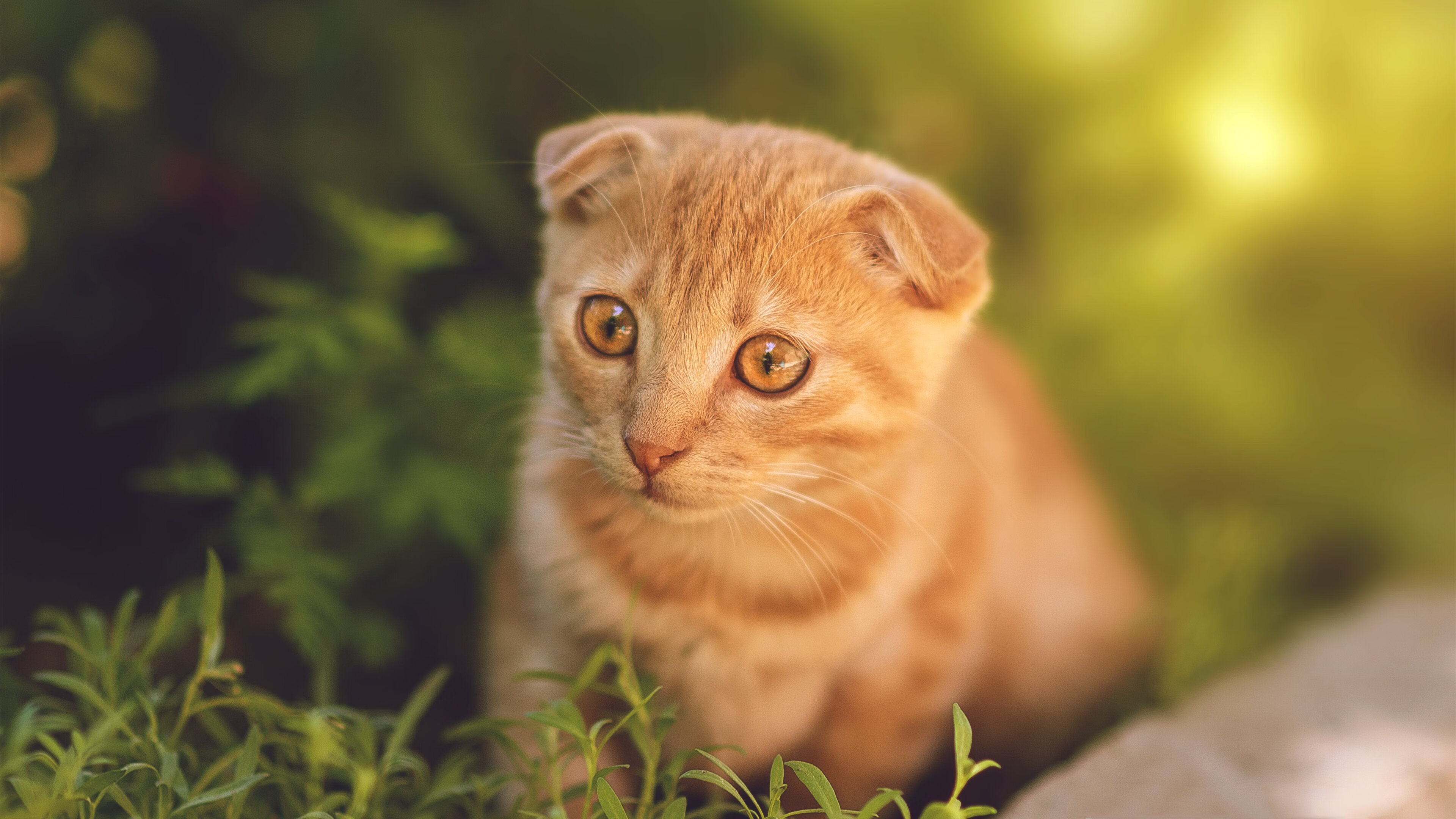 冲刺阶段划频提升幅度影响胜负,冲刺阶段之前是什么阶段