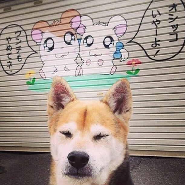 边锋是否比中锋拥有更大自由度决定进攻发起路径,边锋重要吗