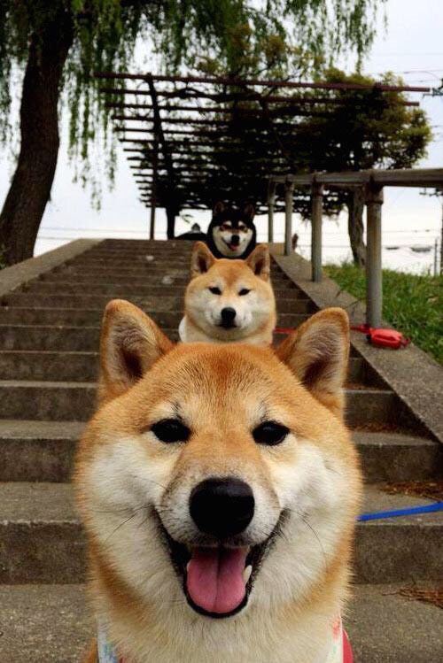 保险公司推出足球运动专项保险,为运动员提供保障,踢足球保险