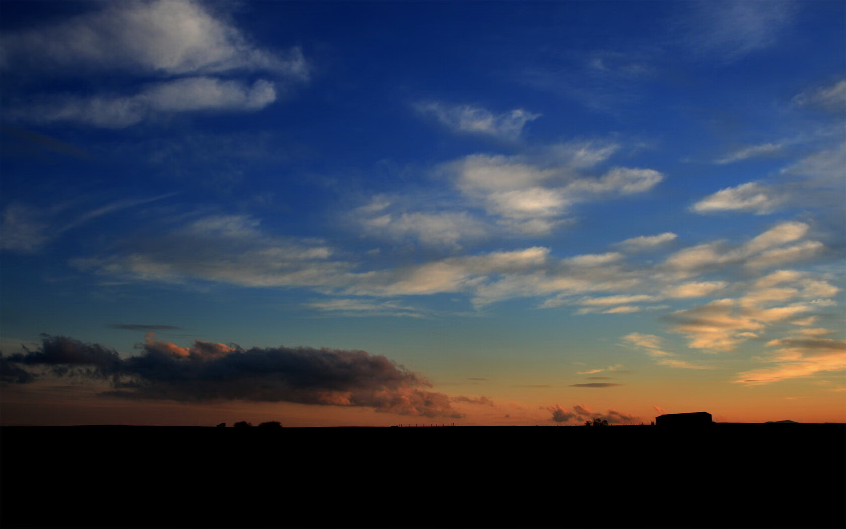 斯滕伯根100米自由泳冲刺表现抢眼
