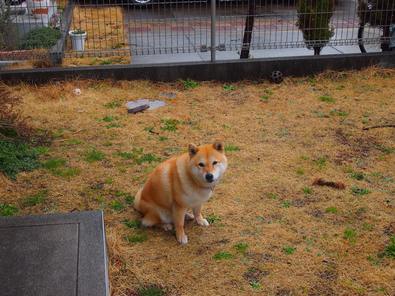 李娜称孩子比冠军更值得骄傲,李娜儿女